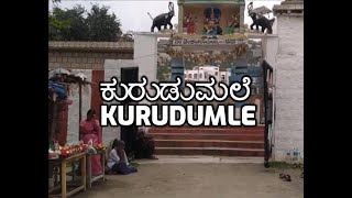 ಕುರುಡುಮಲೆ ಗಣೇಶ ಟೆಂಪಲ್ | Kurudumale Ganesha Temple  |  kurudumale ganapathi devasthana