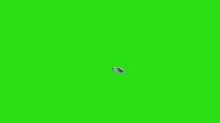 ♪ Футаж Голубь на хромакей(Footage Of Pigeon)