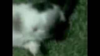 BBG Evinde Erotik sahneler canlı canlı 2014 Full İndir İzle