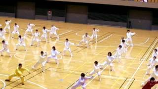 所沢市太極拳祭りより陳氏太極拳１