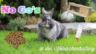 Informationen über die artgerechte Kaninchenhaltung??||Bunnys Diary