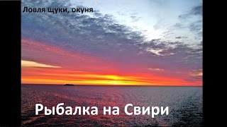 Свирица. Рыбалка на реке Свирь. Окунь, щука!!!