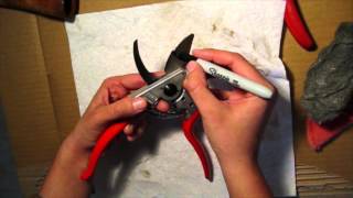Sharpening Hand Pruners