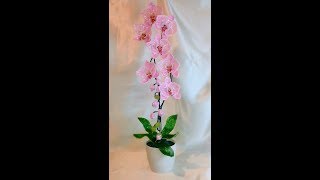 Розовая орхидея из бисера.Часть 4 - Бутоны .Pink orchid from beads. Part 4