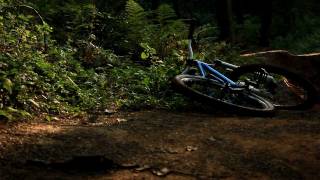 A dirt story