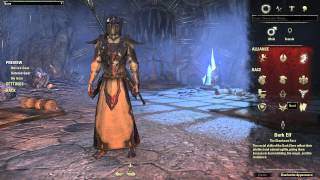 The Elder Scrolls Online - Light Armor Preview (All Races)