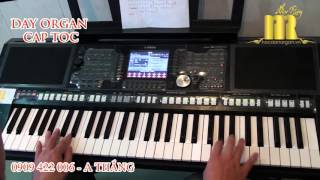 Học Đàn Organ CHA CHA CHA - Trung Tâm Organ Nhạc Rừng - Về Miền Tây - Organ Cấp Tốc Tpchm