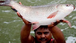 Amazing Fish Hunting And Cooking Fish Curry | Boy's Cooking River Fish | Country Boys