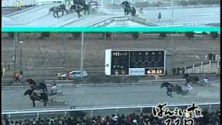 2011年ばんえい記念（2011年3月27日）