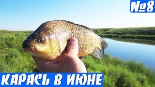 Ловля карася в июне. Карась на поплавок летом