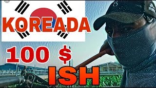 KOREADA 1KUNLIK YANI 100 DOLLIRLIK ISH. 1-QISM.
