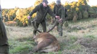 Red Stag Hunting 1 Wildside Hunting Safaris: Dwight and Dick hunting during the roar of 2009