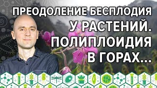 16. Преодоление бесплодия у растений. Полиплоидия в горах...