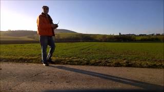 Habu Jet E-Flite