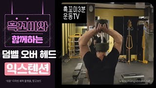 덤벨로하는 최고의 삼두 운동 / 팔 운동 (덤벨 오버 헤드 익스텐션)