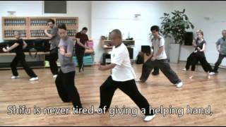 Tai Ji Pi - Mei Hua Tanglang Quan - Taiji Arts Vienna