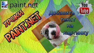 Paint net. Наложить текст.