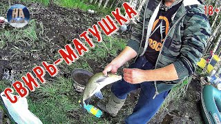 РЫБАЛКА В ШТОРМ I ЛОВЛЯ НА РЕКЕ СВИРЬ 2019