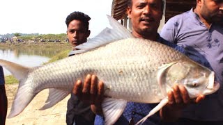 Amazing fish hunting  Big Catla Fish Caught By Fishing Rod And Fish Hooks