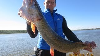 Ловля щуки на джиг и в отвес