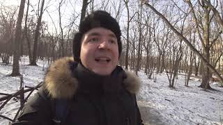 Как зарабатывать студенту программисту миллионы рублей в месяц! | Евгений Гришечкин