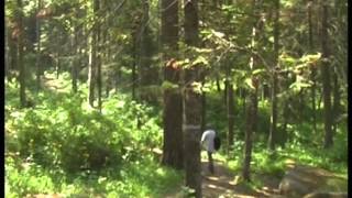 Заповедник Красноярские Столбы. 2015 / Reserve Krasnoyarsk Columns. 2015