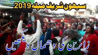 Dhamal | Sehwan Sharif Mela 2019