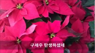 구세주 탄생하셨네, 이동례 목사, 킬린예수사랑교회