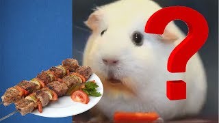 Чем кормить морских свинок?! / Свиной шашлык