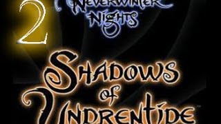 Neverwinter Nights - Shadows of Undrentide - Часть 2