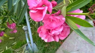 Крой и шитье.Моделирование.Одежда.Бохо-экскизы