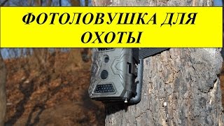 Фотоловушка для охоты!