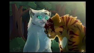 • Warriors Cats • Голубка и Когтегрив ~ { Мокрые кросы }