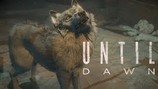 ТАЙНА ПСИХУШКИ ! : Until Dawn / Дожить до Рассвета