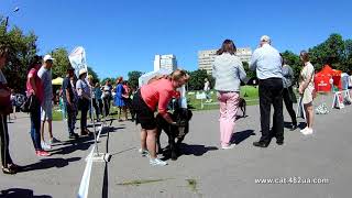 8  Выставка собак, Харьков, Стадион Пионер, май 2019, КСУ