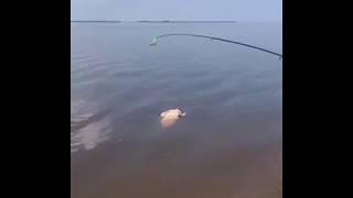 Поймал на удочку голую бабу, вот это улов, жесть