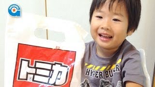 トミカNISSAN Rの系譜を開けました【がっちゃん4歳】TOMICA