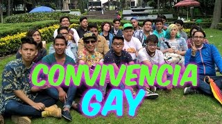 Convivencia GAY CDMX 2015