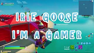 New Gamer Song! I'm A Gamer by Irie Goose