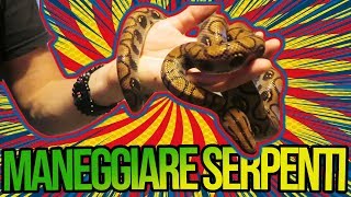 MANEGGIARE SERPENTI - il linguaggio del corpo dei serpi