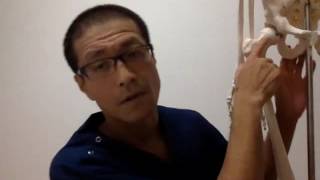 大腿骨頸部骨折術後の痛みをとる王道