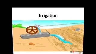 Biology - Agriculture and crop management in India - English