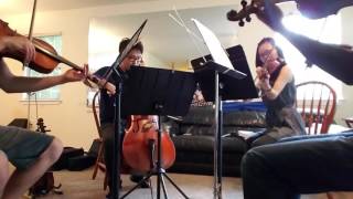 Howl's Moving Castle - Merry Go Round of Life (string quartet)