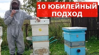 отбор меда/формирование гнезда в рутах можно доверить пчелам