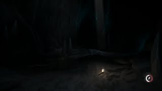 The Long Dark. Вглубь Ледяной пещеры