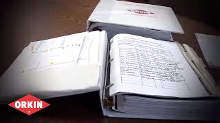 5 Steps to a Better Audit - Orkin for Your Business