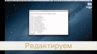Как отредактировать Hosts на MacOS