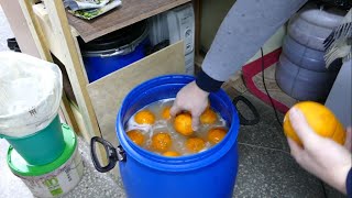 Сахарная брага со вкусом апельсина на дрожжах Хмельной эксперт