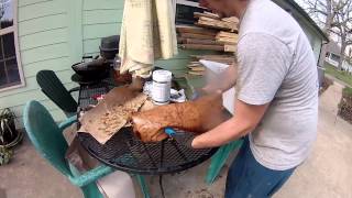 Growing Edible Mushrooms at Home - Cardboard Spawn Tutorial