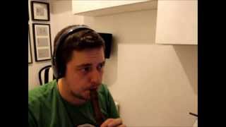Pachelbel's Canon - POP music mix - flute